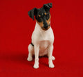 Dein Liebling als 3D Figur - Lady